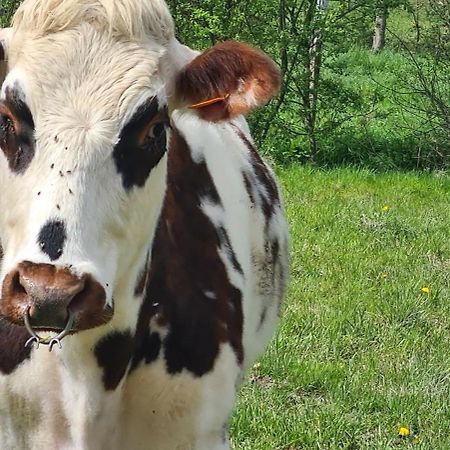 La Lande-de-LougeRoulotte A La Ferme Buissonniere别墅 外观 照片