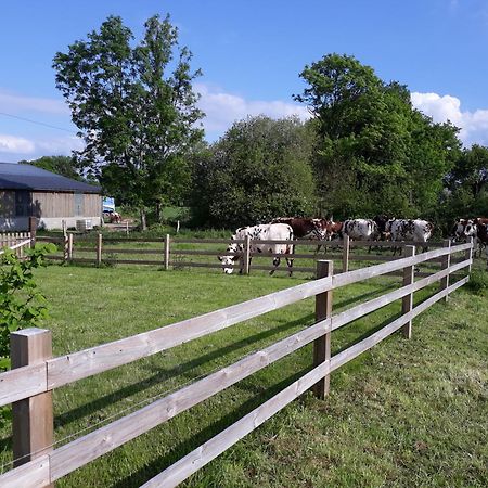 La Lande-de-LougeRoulotte A La Ferme Buissonniere别墅 外观 照片