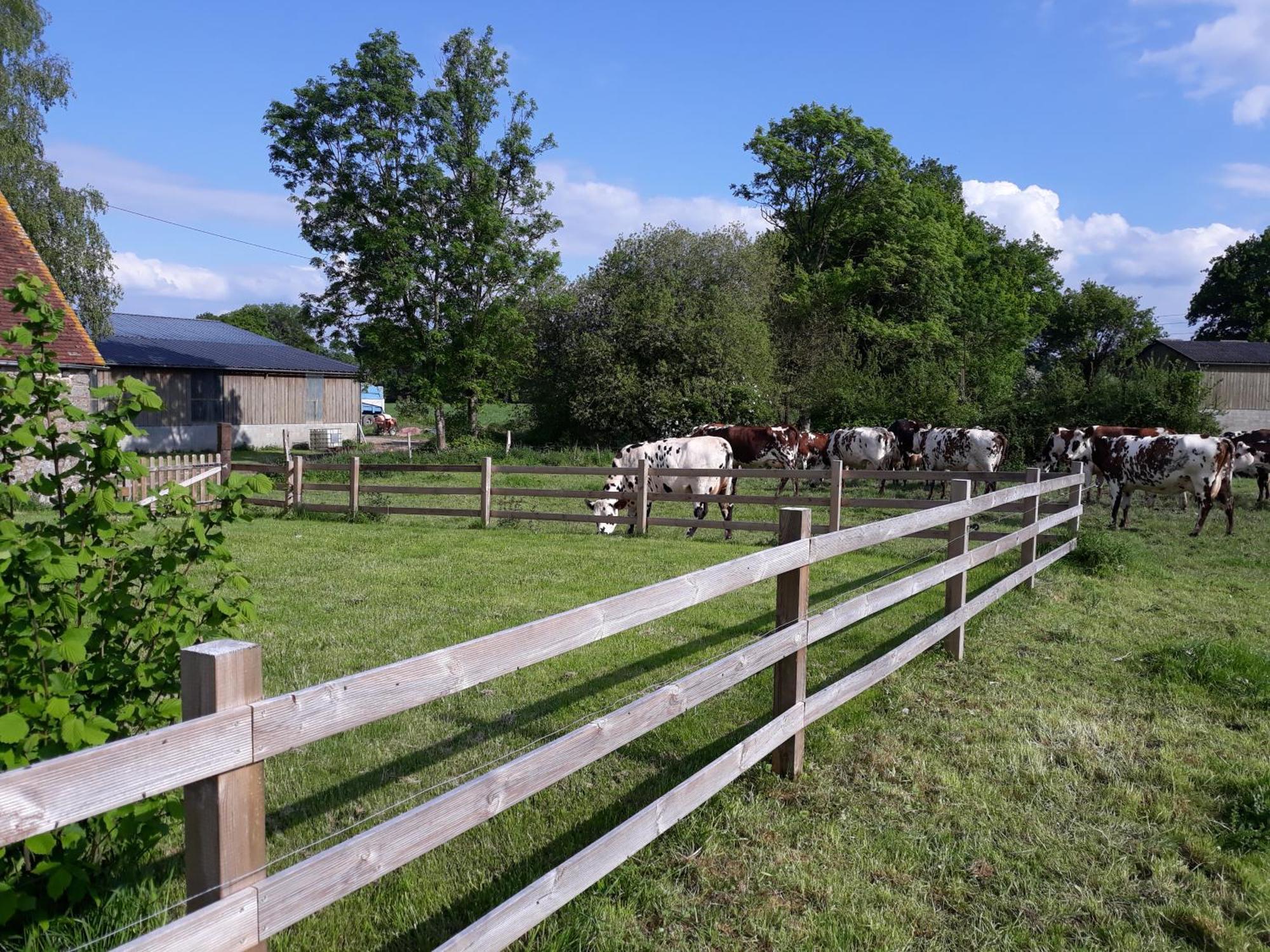 La Lande-de-LougeRoulotte A La Ferme Buissonniere别墅 外观 照片